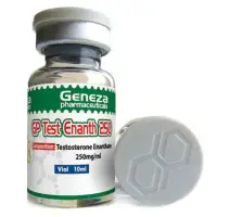 The Testosterone Enanthate from Geneza Pharmaceuticals branded as GP Test Enanth 250